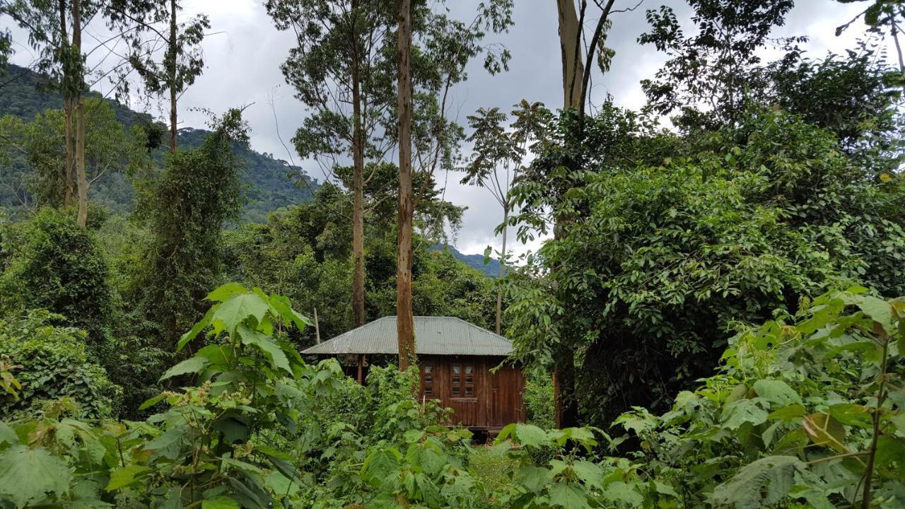 Bwindi Guest House Kanungu Екстериор снимка