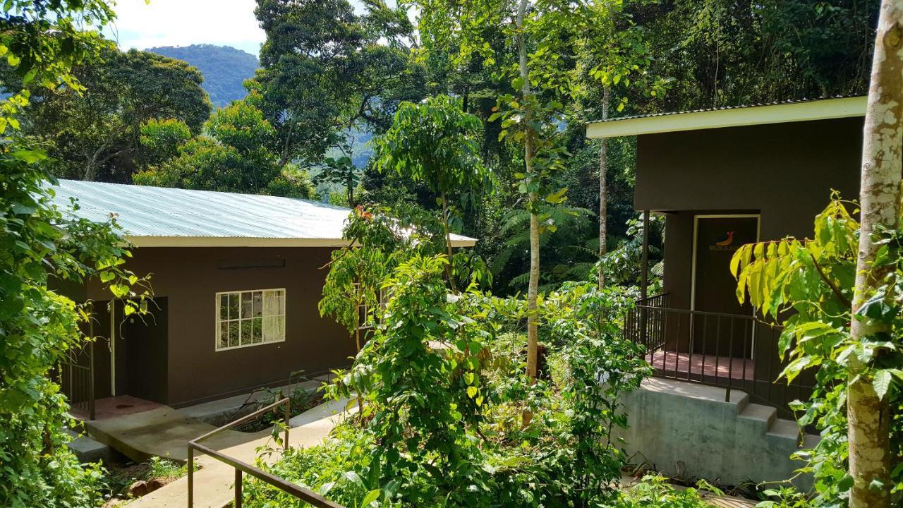 Bwindi Guest House Kanungu Екстериор снимка