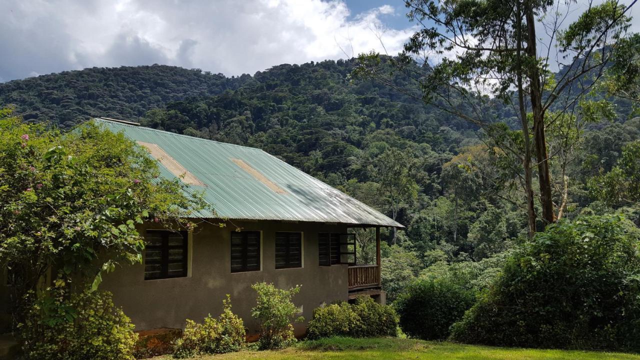 Bwindi Guest House Kanungu Екстериор снимка