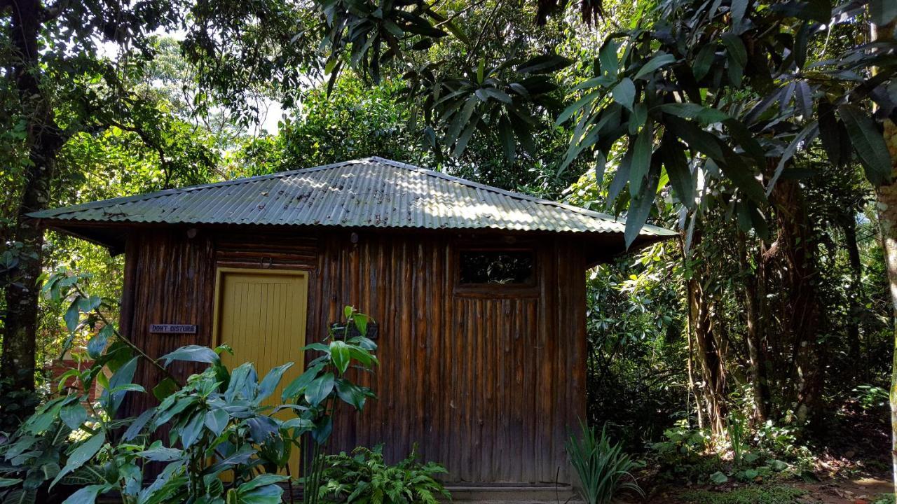 Bwindi Guest House Kanungu Екстериор снимка